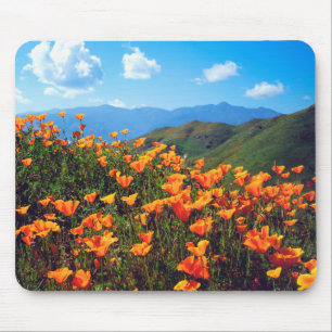 Tapis De Souris Pavots de Californie couvrant un flanc de colline