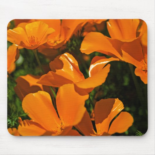 Tapis De Souris Pavots de Californie Mousepad (Devant)