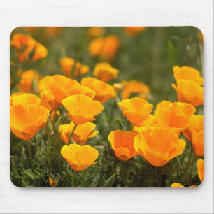 Tapis De Souris Pavots de Californie, Parc d'État Montana de Oro