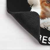 Tapis De Souris Paw Sitive Vibes Only Cat Photo Black  (Coin)