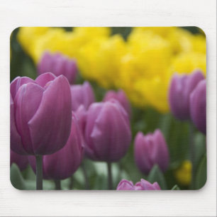 Tapis De Souris Pays-Bas aka Hollande), Lisse. Keukenhof 10