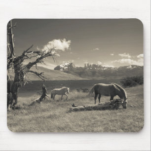 Tapis De Souris Paysage avec chevaux