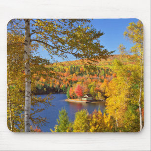 Tapis De Souris Paysage d'arbres en automne, Maine