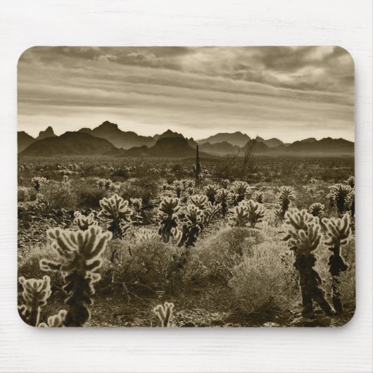 Tapis De Souris Paysage de Cactus (Devant)