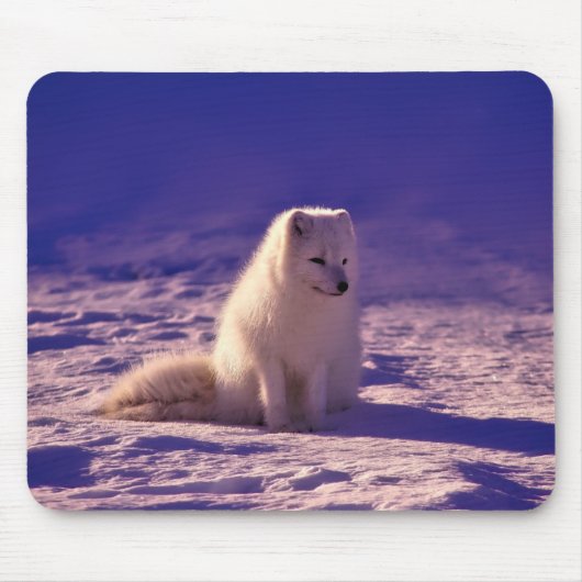 Tapis De Souris Paysage de neige de l'hiver de Fox Arctique (Devant)