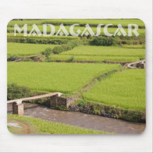 Tapis De Souris Paysage de rizières à Madagascar