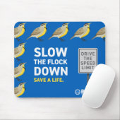 Tapis De Souris PBOT Ralentir Le Déplacement De La Souris (Avec souris)