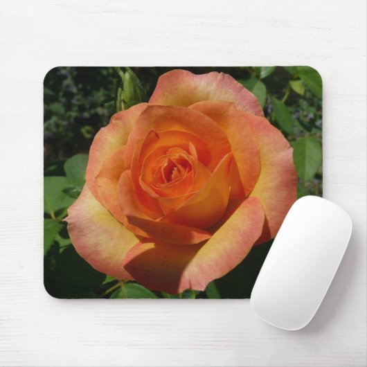 Tapis De Souris Peach Rose Orange Floral Photographie (Avec souris)