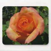 Tapis De Souris Peach Rose Orange Floral Photographie (Devant)