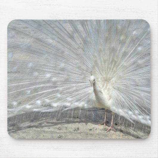 Tapis De Souris Peacock blanc (Devant)