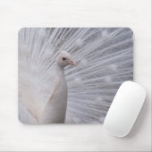 Tapis De Souris Peacock blanc (Avec souris)