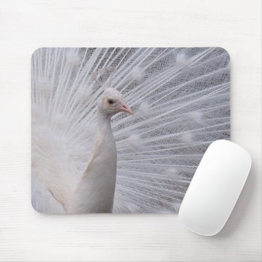 Tapis De Souris Peacock blanc (Avec souris)