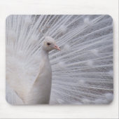 Tapis De Souris Peacock blanc (Devant)