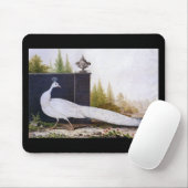 Tapis De Souris Peacock blanc (Avec souris)
