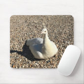 Tapis De Souris Peacock Blanc, Idaho (Avec souris)