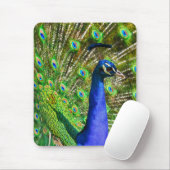 Tapis De Souris Peacock Bleu brillant (Avec souris)