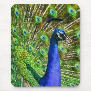 Tapis De Souris Peacock Bleu brillant