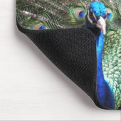 Tapis De Souris Peacock Mousepad (Coin)