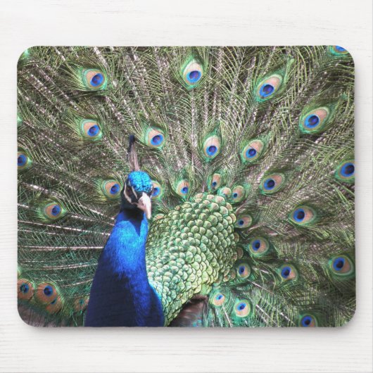 Tapis De Souris Peacock Mousepad (Devant)