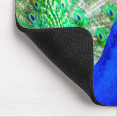 Tapis De Souris Peacock Plumage (Coin)