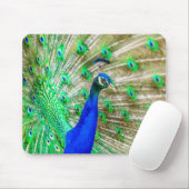 Tapis De Souris Peacock Plumage (Avec souris)