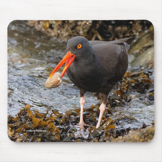 Tapis De Souris Pêche à la plage d'Oystercatcher noir (Devant)