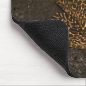 Tapis De Souris Peckoltia Compta (Coin)