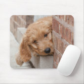Tapis De Souris Peecing de Goldendoodle (Avec souris)