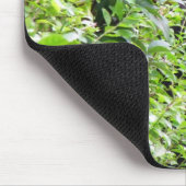 Tapis De Souris Peek-A-Boo Gorilla Mouse pad (Coin)