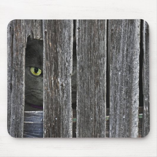 Tapis De Souris Peepin Tom (Devant)