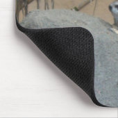 Tapis De Souris Peerkat Meerkat (Coin)