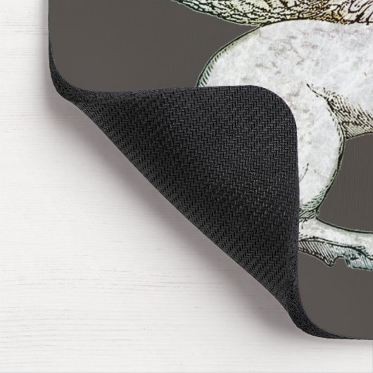 Tapis De Souris Pegasus (Coin)