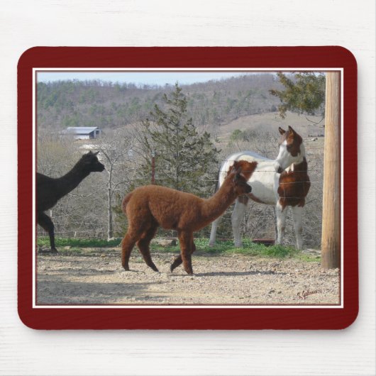 Tapis De Souris Peignez l'alpaga Mousepad de cheval (Devant)