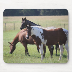 Tapis De Souris Peignez le cheval et les amis
