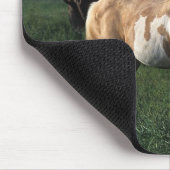 Tapis De Souris Peignez le cheval tenant 2 (Coin)