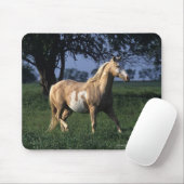 Tapis De Souris Peignez le cheval tenant 2 (Avec souris)