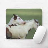 Tapis De Souris Peignez le jeu de poulains (Avec souris)