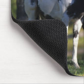 Tapis De Souris Peignez les chevaux (Coin)