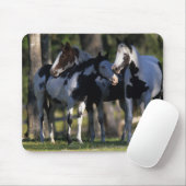 Tapis De Souris Peignez les chevaux (Avec souris)
