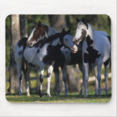 Tapis De Souris Peignez les chevaux (Devant)