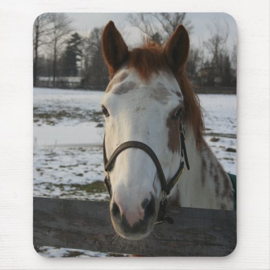 Tapis De Souris Peignez Mousepad (Devant)