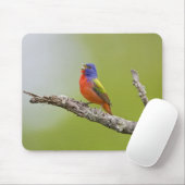 Tapis De Souris Peint Bunting Passerina ciris) chant masculin (Avec souris)