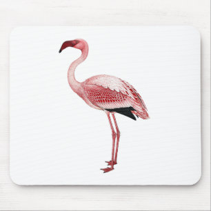 Tapis De Souris Peinture rose vintage de Flamant rose