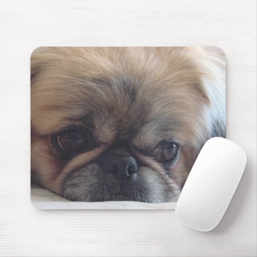 Tapis De Souris Pekingese (Avec souris)