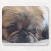 Tapis De Souris Pekingese (Devant)