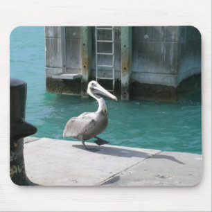 Tapis De Souris Pélican