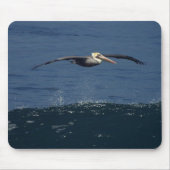 Tapis De Souris Pélican (Devant)
