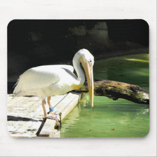Tapis De Souris Pélican