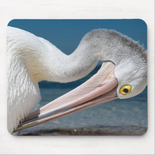 Tapis De Souris pélican, oiseau, pélican australien