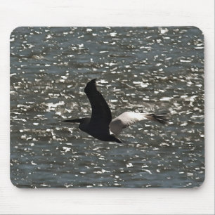 Tapis De Souris Pélican volant au-dessus du lac Bafa